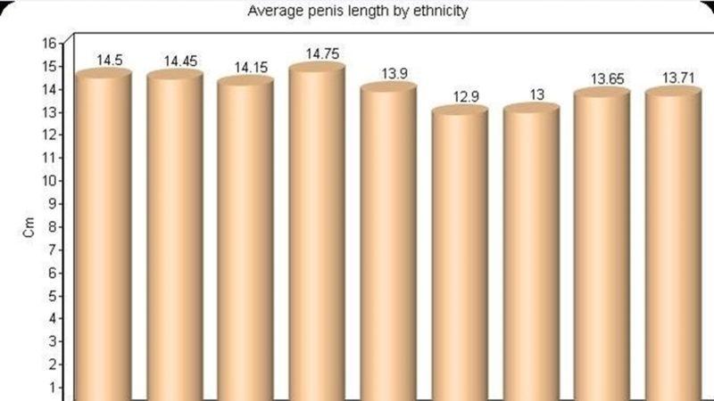 İşte Bunlar Hep Evrim: Siyahi Erkeklerin Cinsel Organları Neden Daha Uzundur?