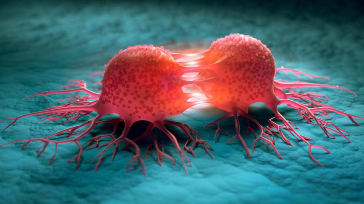 Araştırmacılar, Tümör Hücreleriyle Normal Hücreleri Farklılaştırabilen Araç Geliştirdi