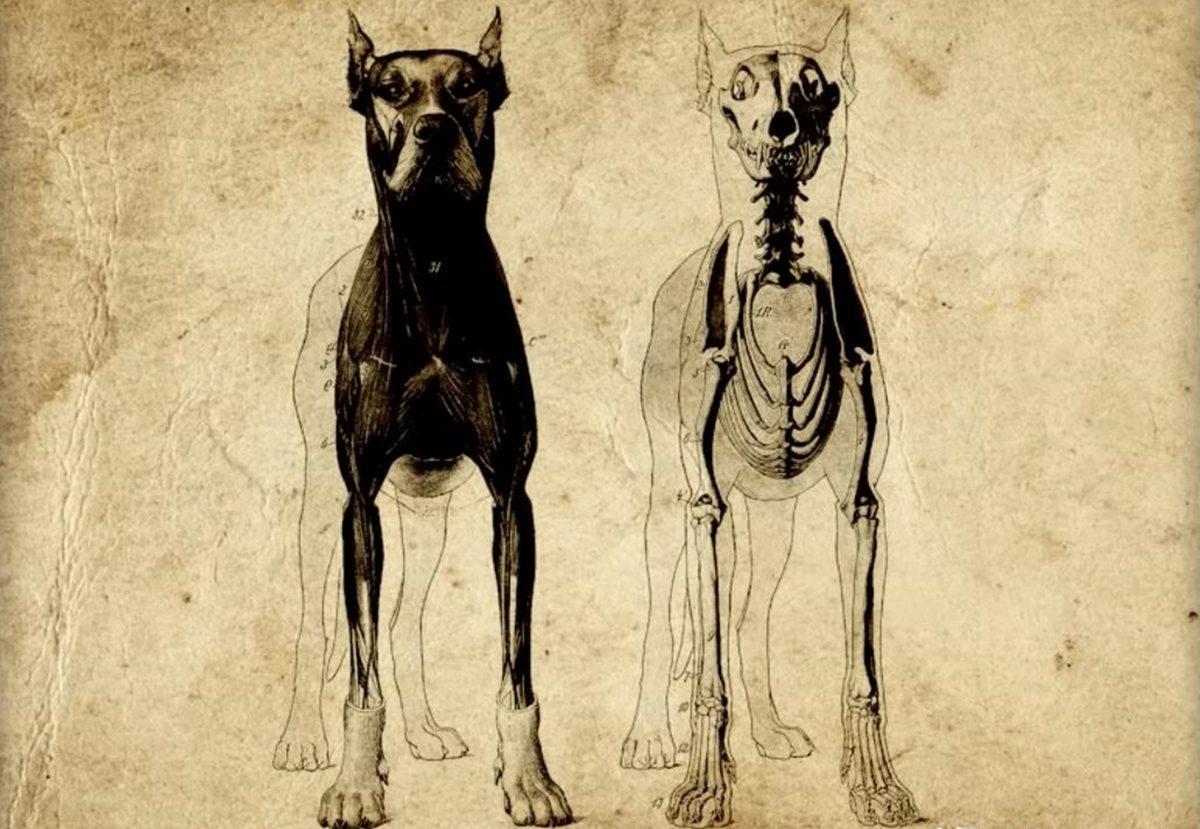 Ruhun Ağırlığı Gerçekten 