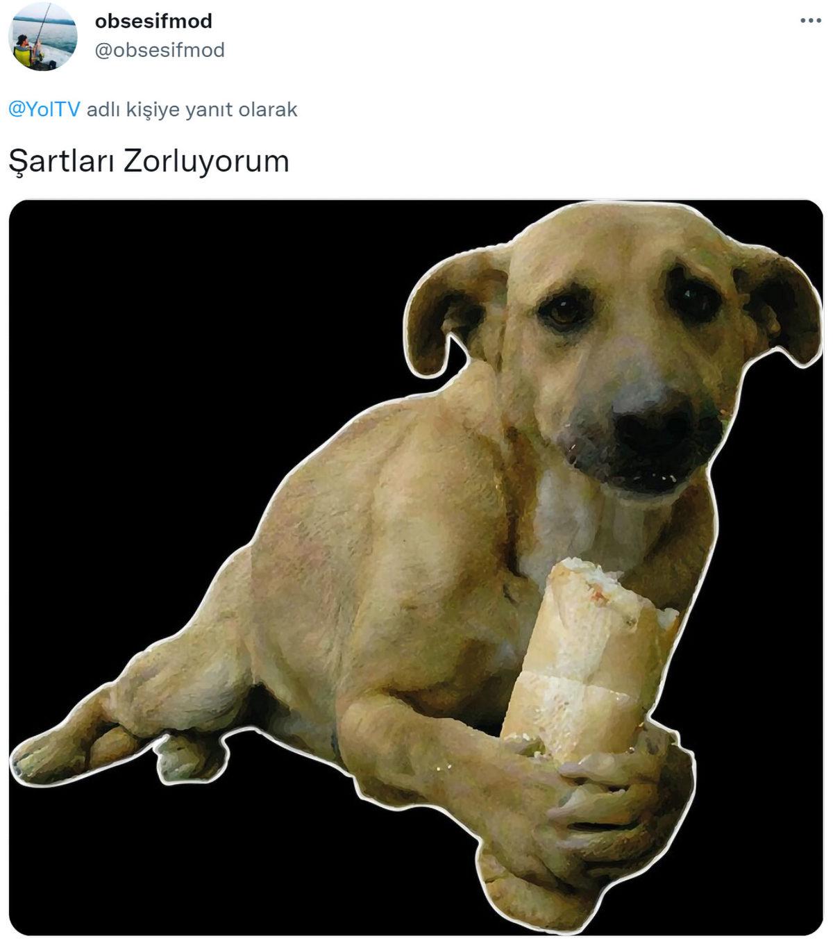 Cumhurbaşkanı Erdoğan Gençlere 