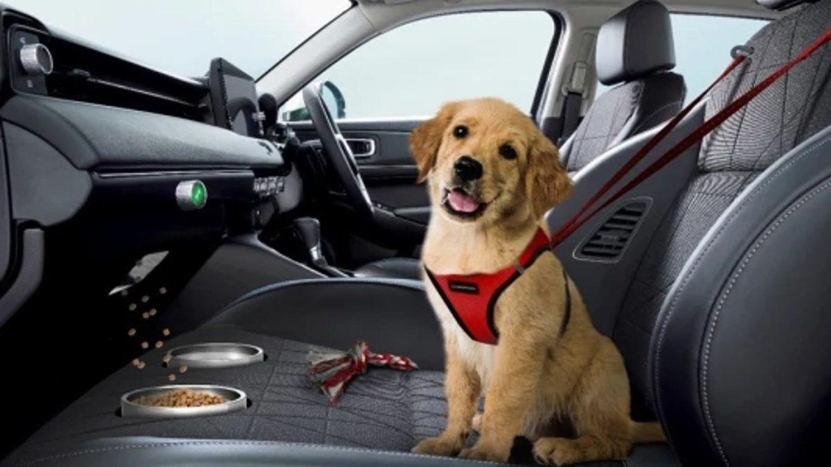 Dünyaca Ünlü Markaların Duygularımızla Oynayan 1 Nisan Şakaları