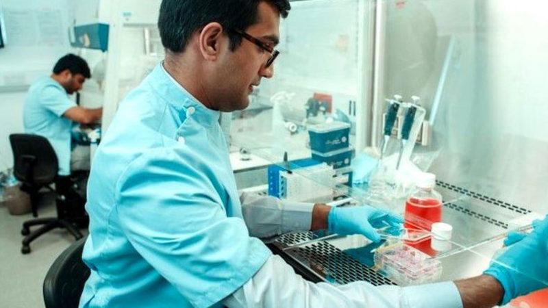 Yeni Bir Araştırma, Motor Nöron Hastalığının Bazı Mevcut İlaçlarla Tedavi Edilebileceğini Gösterdi