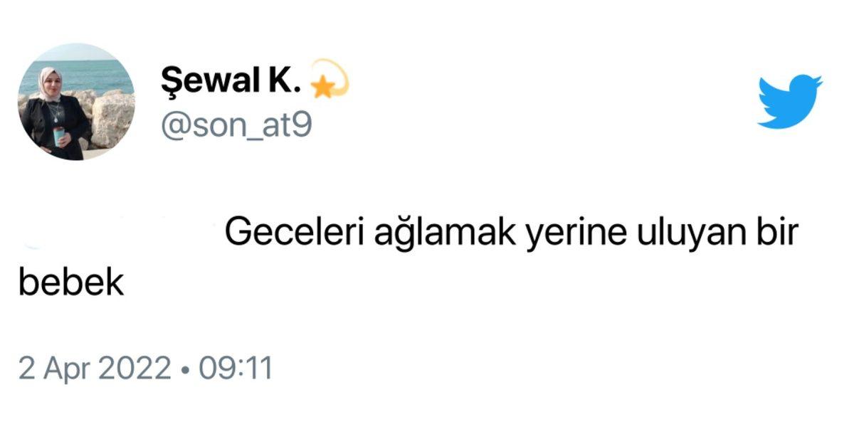 Kıvanç Tatlıtuğ ve Başak Dizer’in Çocuklarına ’Kurt Efe’ İsmini Vereceği Ortaya Çıktı: Sosyal Medyada Paylaşımların Ardı Arkası Kesilmedi