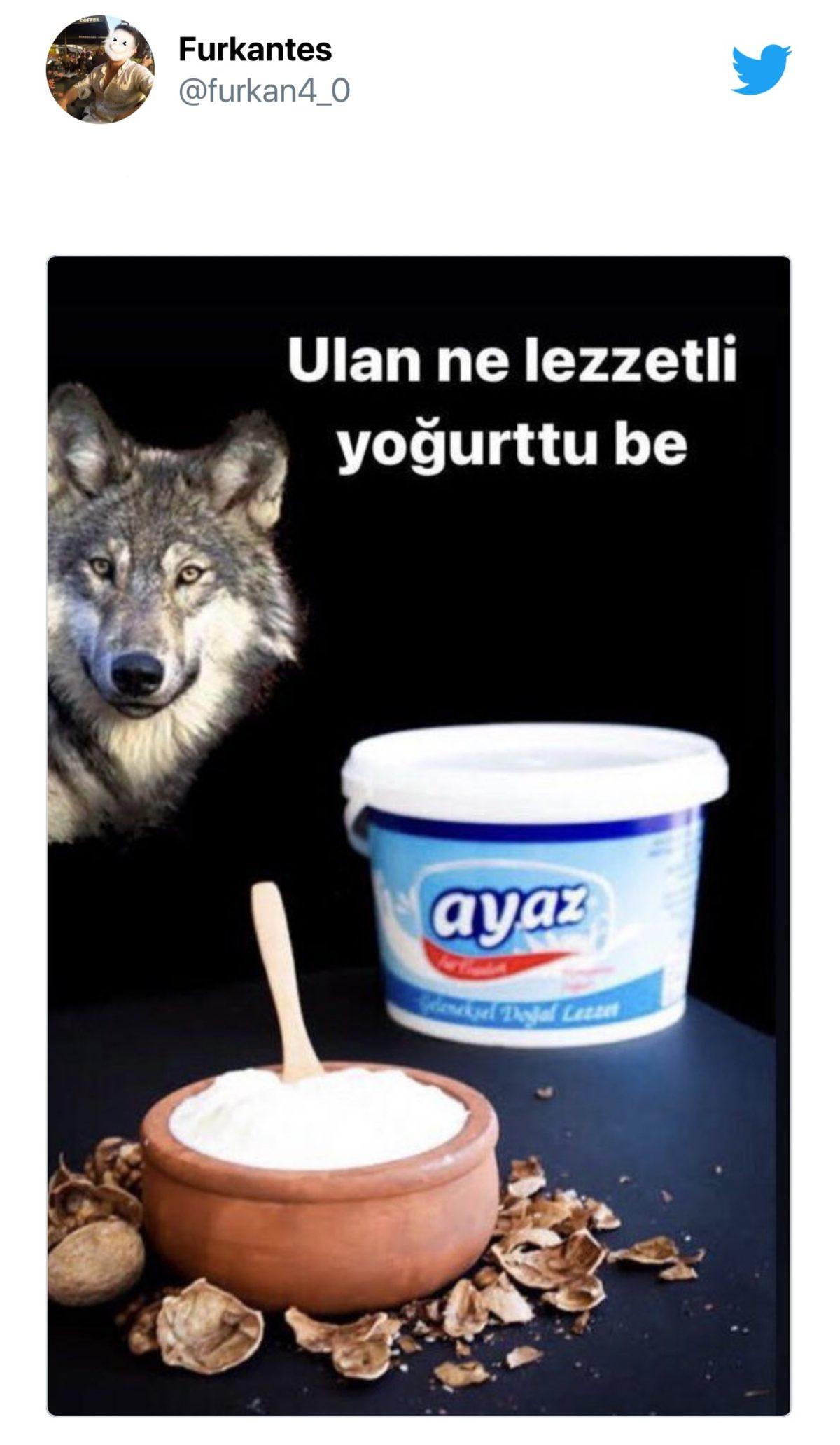 Kıvanç Tatlıtuğ ve Başak Dizer’in Çocuklarına ’Kurt Efe’ İsmini Vereceği Ortaya Çıktı: Sosyal Medyada Paylaşımların Ardı Arkası Kesilmedi