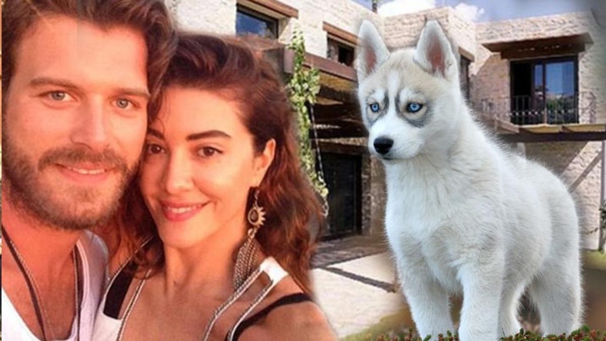 Kıvanç Tatlıtuğ ve Başak Dizer’in Çocuklarına ’Kurt Efe’ İsmini Vereceği Ortaya Çıktı: Sosyal Medyada Paylaşımların Ardı Arkası Kesilmedi