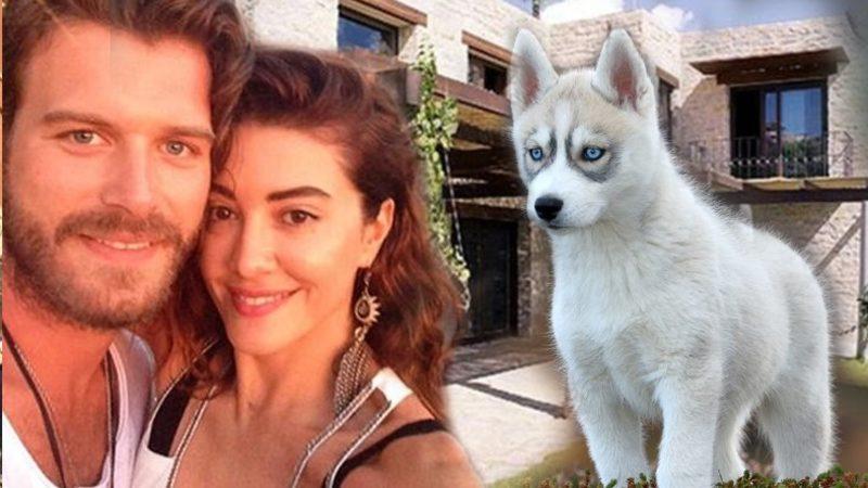 Kıvanç Tatlıtuğ ve Başak Dizer’in Çocuklarına ’Kurt Efe’ İsmini Vereceği Ortaya Çıktı: Sosyal Medyada Paylaşımların Ardı Arkası Kesilmedi