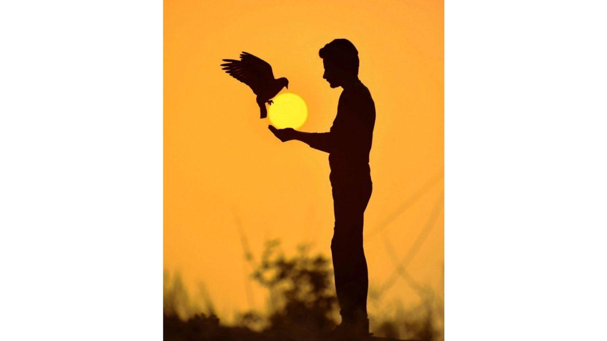 Bir Fotoğrafçının Güneş’i Kullanarak Optik İllüzyonlar Oluşturduğu Muhteşem Fotoğraflar