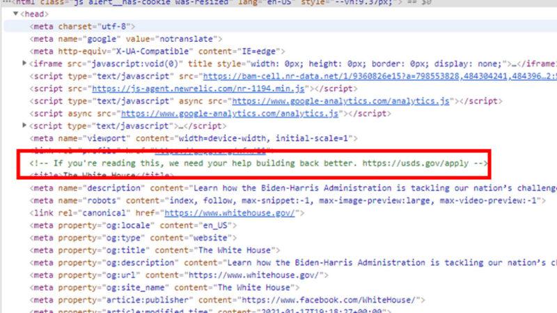 Beyaz Saray’ın Yeni İnternet Sitesinde Gizli Bir İş İlanı Ortaya Çıktı