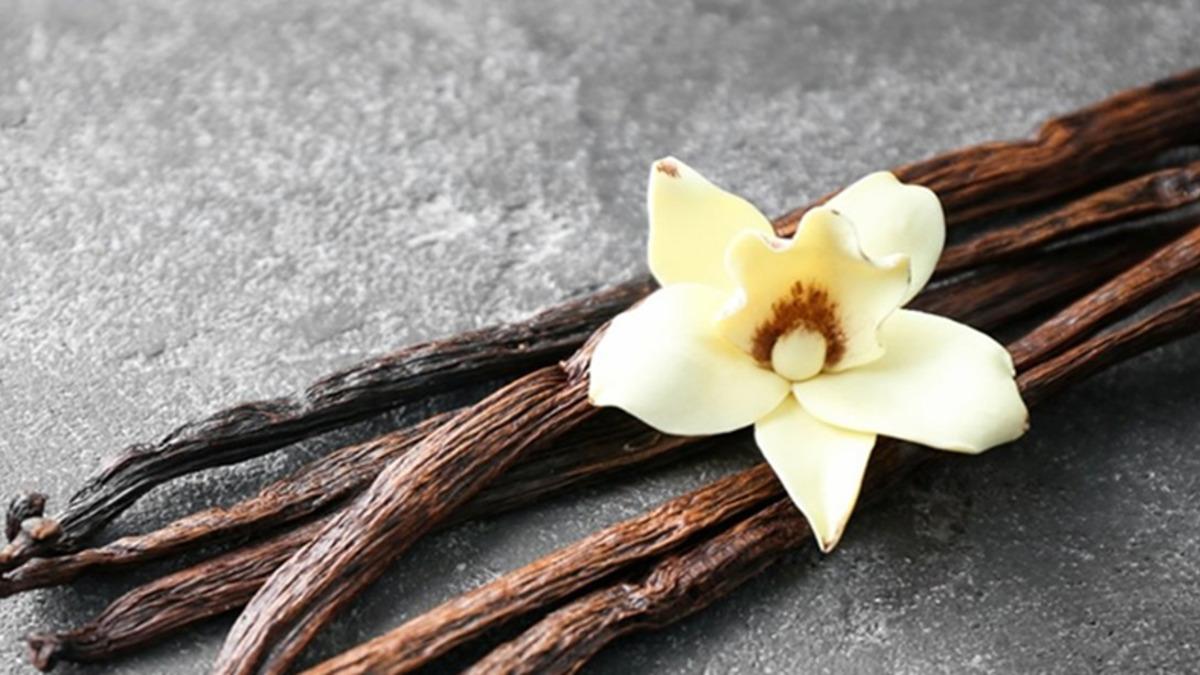 Dünyadaki Herkes Tarafından Sevilen O Koku Keşfedildi (Hayır Para Değil)