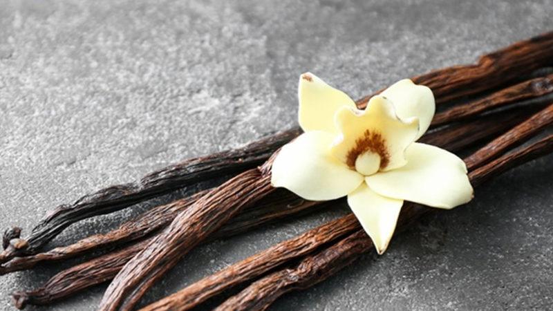 Dünyadaki Herkes Tarafından Sevilen O Koku Keşfedildi (Hayır Para Değil)