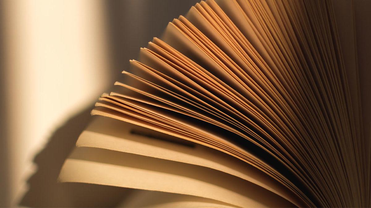 Bilime Göre Bazı İnsanlar Kitap Kokusunu Neden Bu Kadar Çok Sever?