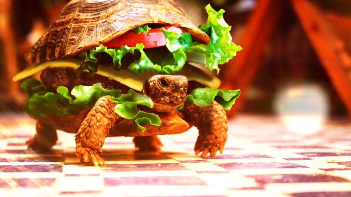 Unutmamanız Gereken Önemli Şeyleri Aklınıza Kazıyan Hafıza Teknikleri