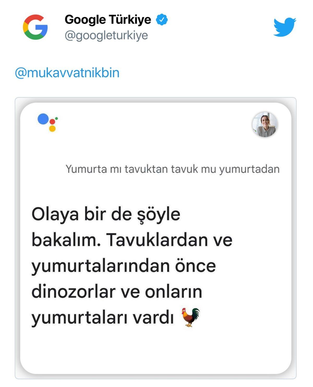 Google Türkiye, Twitter’a Katılıp ’Ne Arıyoruz?’ Dedi, Sosyal Medya Cevapladı: İşte Verilen En Komik Cevaplar