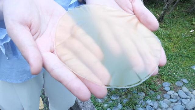 Kağıt İçin Ormanları Katletme Devri Bitiyor! Ayçiçeği Poleninden Tekrar Tekrar Kullanılabilen Kağıt Geliştirildi