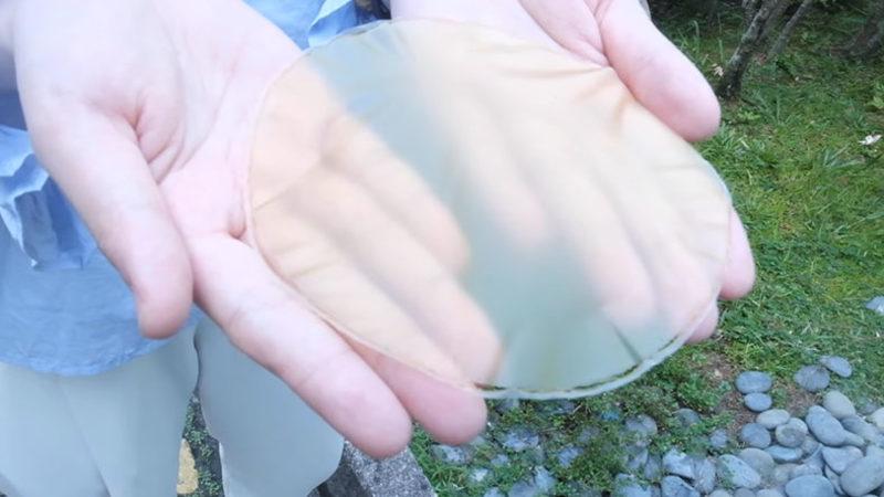 Kağıt İçin Ormanları Katletme Devri Bitiyor! Ayçiçeği Poleninden Tekrar Tekrar Kullanılabilen Kağıt Geliştirildi