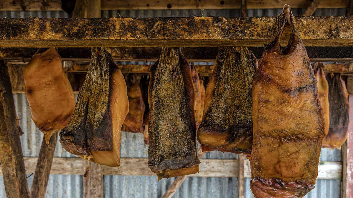 Dünyanın Farklı Yerlerinde Tüketilen Birbirinden Tehlikeli 20 Yemek: Bazıları Ciddi Derecede Ölümcül