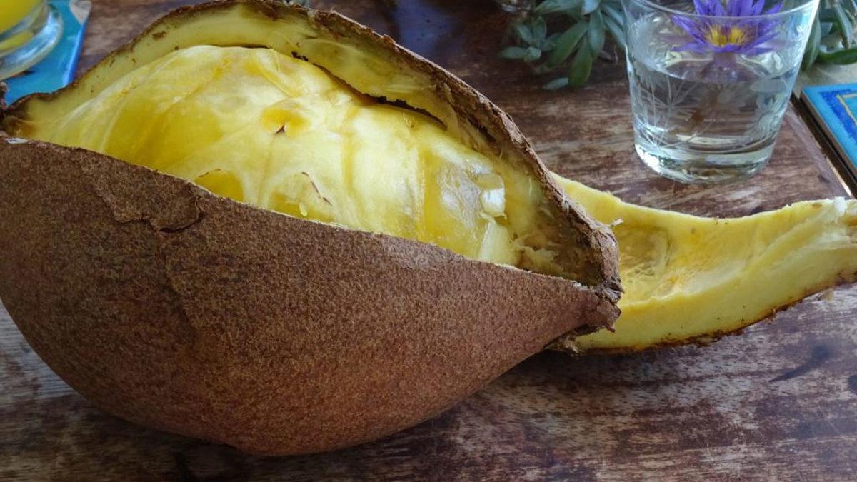 Dünyanın Farklı Yerlerinde Tüketilen Birbirinden Tehlikeli 20 Yemek: Bazıları Ciddi Derecede Ölümcül