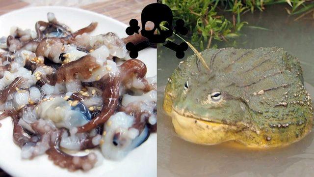 Dünyanın Farklı Yerlerinde Tüketilen Birbirinden Tehlikeli 20 Yemek: Bazıları Ciddi Derecede Ölümcül