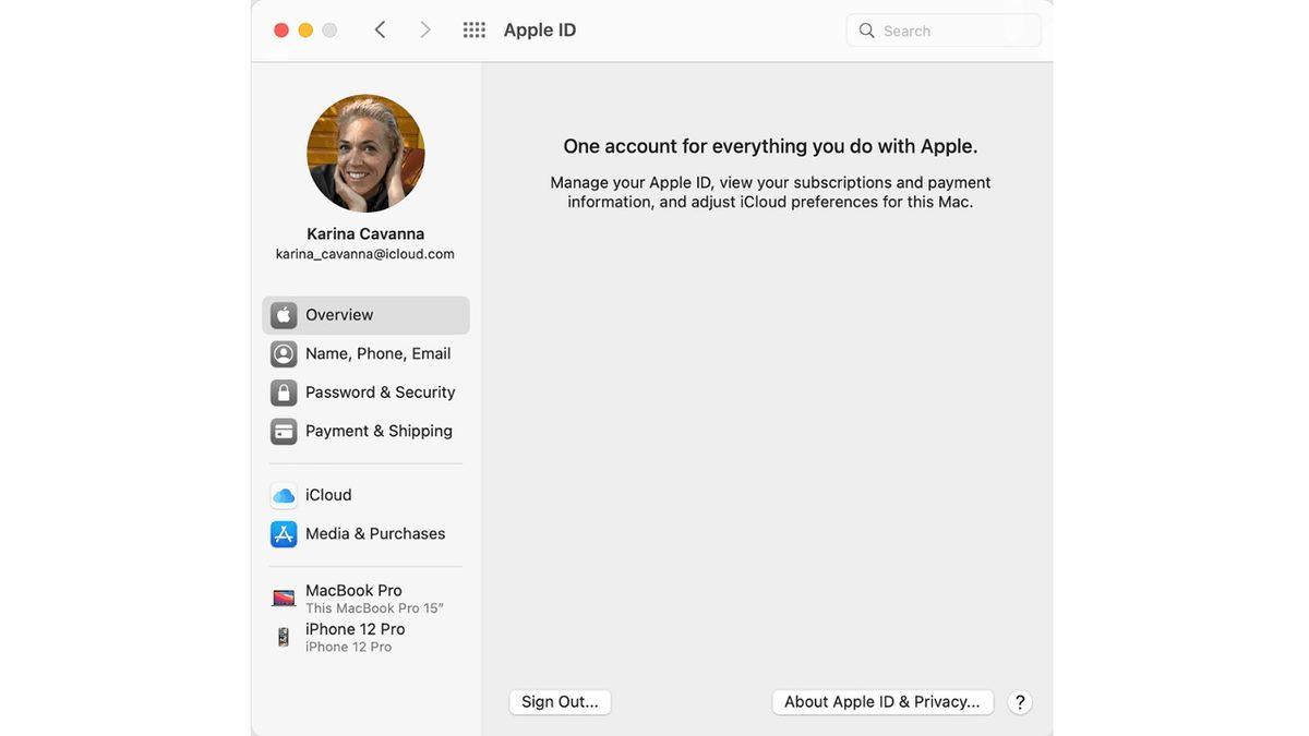 iCloud Kullanıcı Adı Nasıl Bulunur?