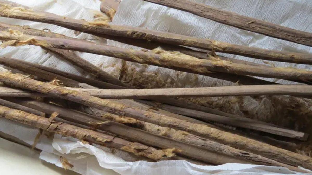 Tuvalet Kağıdı İcat Edilmeden Önce İnsanlar Hangi Nesnelerden Yararlanıyordu?