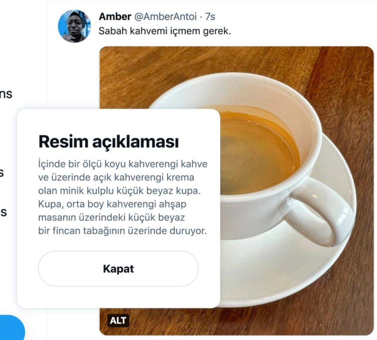 Twitter, 280 Karaktere Sıkışıp Kalmak İstemeyenler İçin ’Resim Açıklaması’ Özelliğini Duyurdu