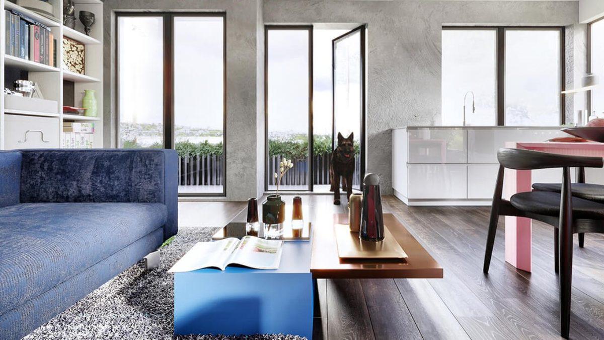 Evcil Hayvanlar, İnsanlara Kıyasla Dünyayı Nasıl Görüyorlar? [Fotoğraf]