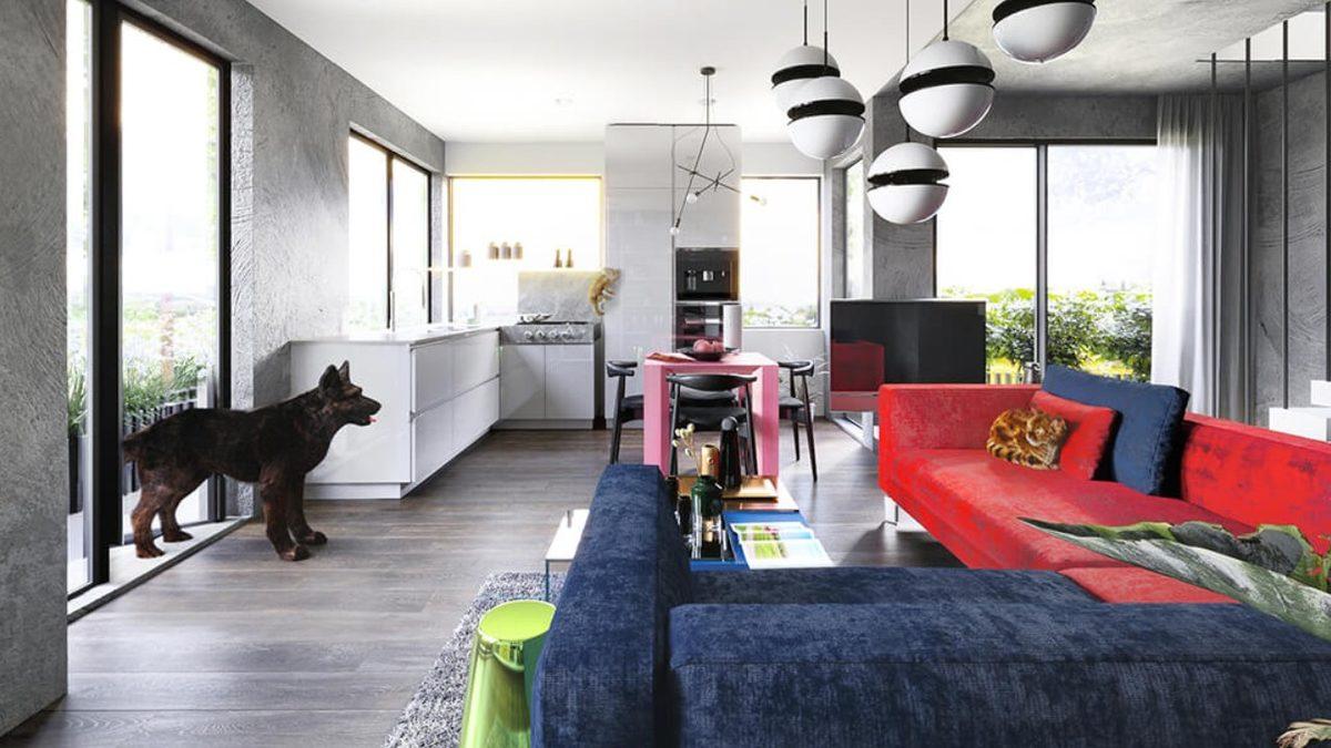 Evcil Hayvanlar, İnsanlara Kıyasla Dünyayı Nasıl Görüyorlar? [Fotoğraf]