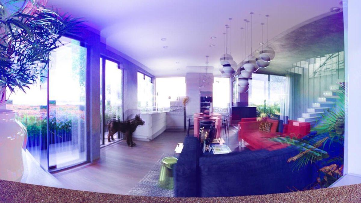 Evcil Hayvanlar, İnsanlara Kıyasla Dünyayı Nasıl Görüyorlar? [Fotoğraf]