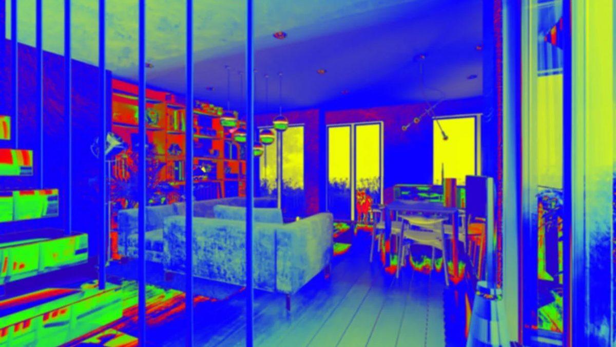 Evcil Hayvanlar, İnsanlara Kıyasla Dünyayı Nasıl Görüyorlar? [Fotoğraf]