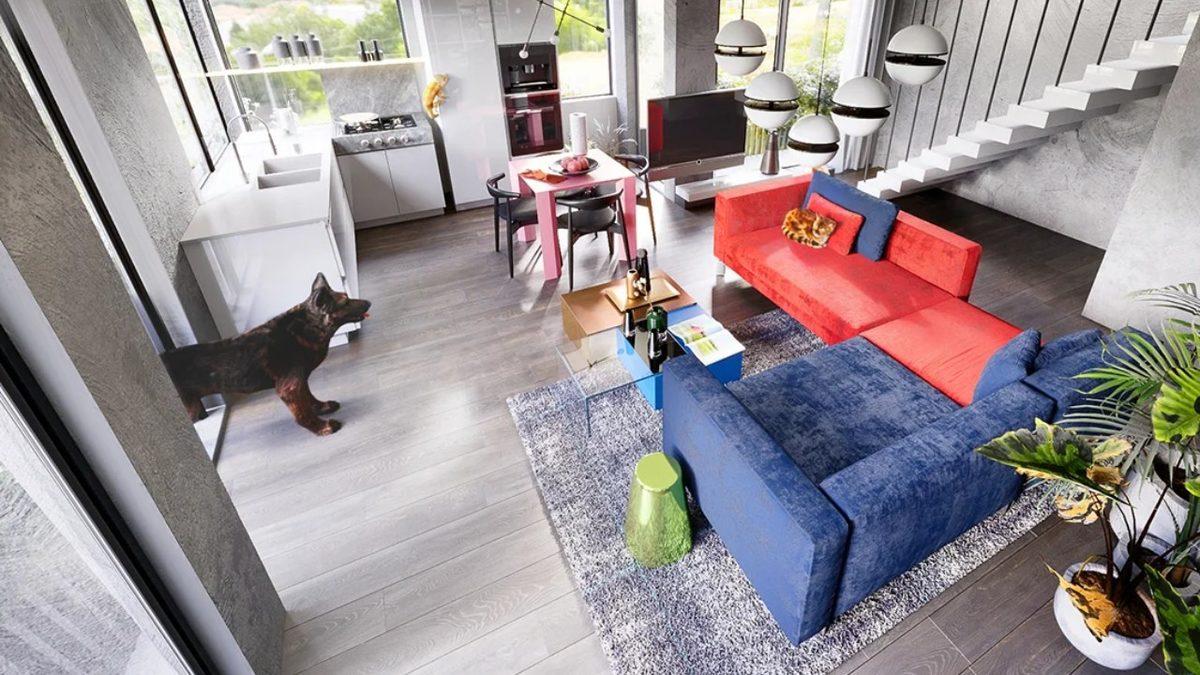 Evcil Hayvanlar, İnsanlara Kıyasla Dünyayı Nasıl Görüyorlar? [Fotoğraf]