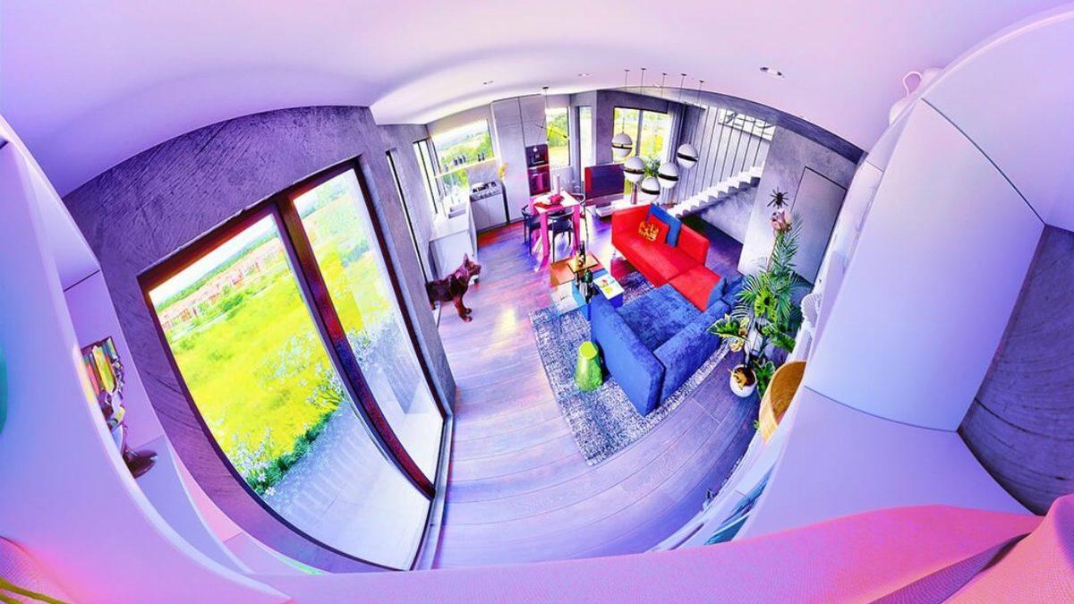 Evcil Hayvanlar, İnsanlara Kıyasla Dünyayı Nasıl Görüyorlar? [Fotoğraf]