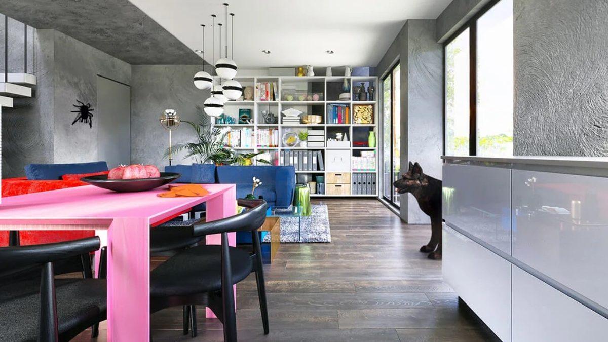 Evcil Hayvanlar, İnsanlara Kıyasla Dünyayı Nasıl Görüyorlar? [Fotoğraf]