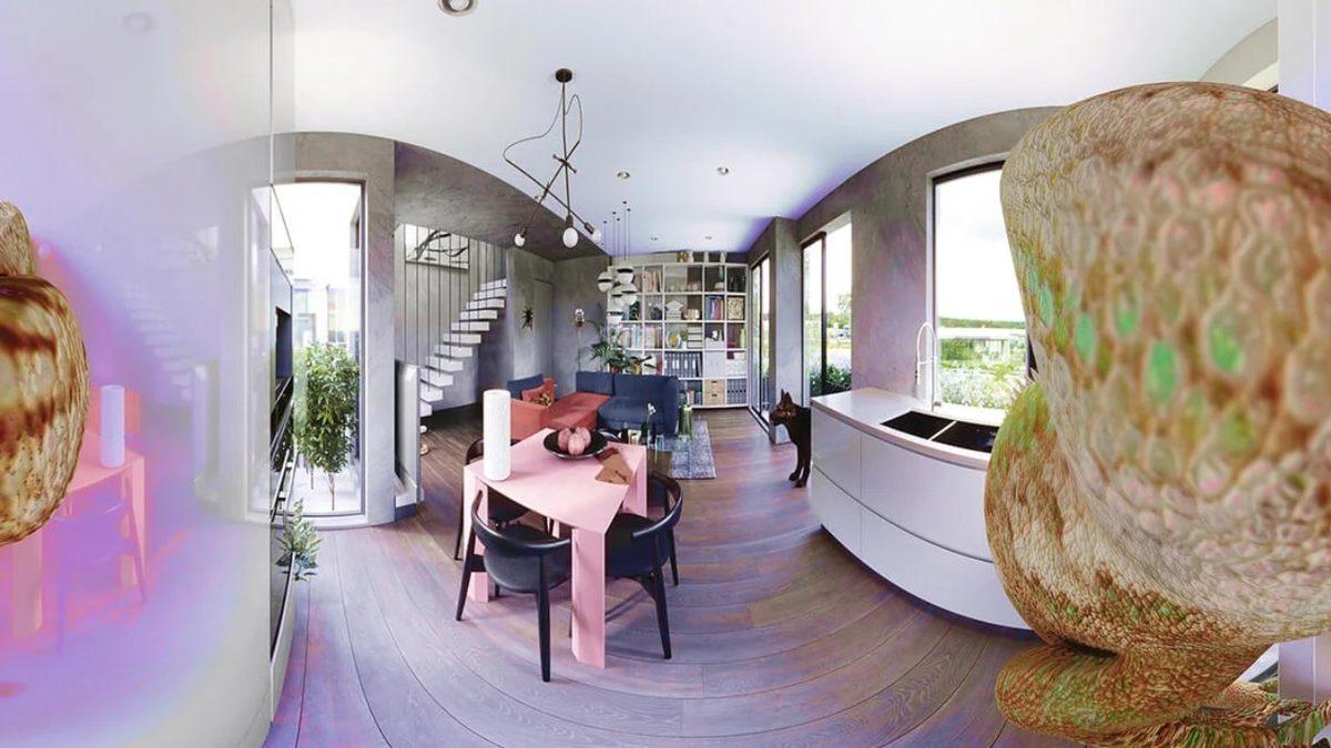 Evcil Hayvanlar, İnsanlara Kıyasla Dünyayı Nasıl Görüyorlar? [Fotoğraf]