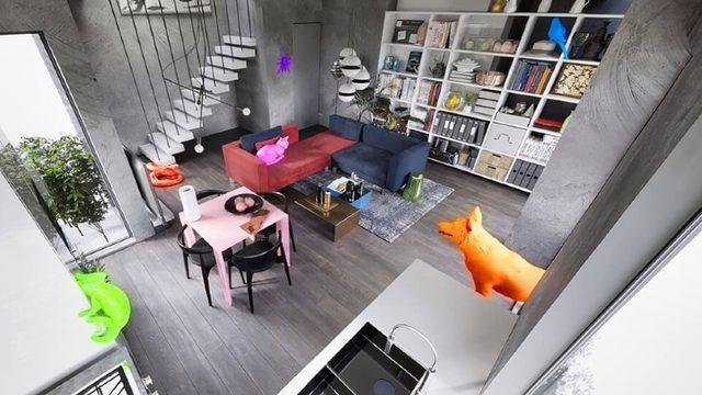 Evcil Hayvanlar, İnsanlara Kıyasla Dünyayı Nasıl Görüyorlar? [Fotoğraf]