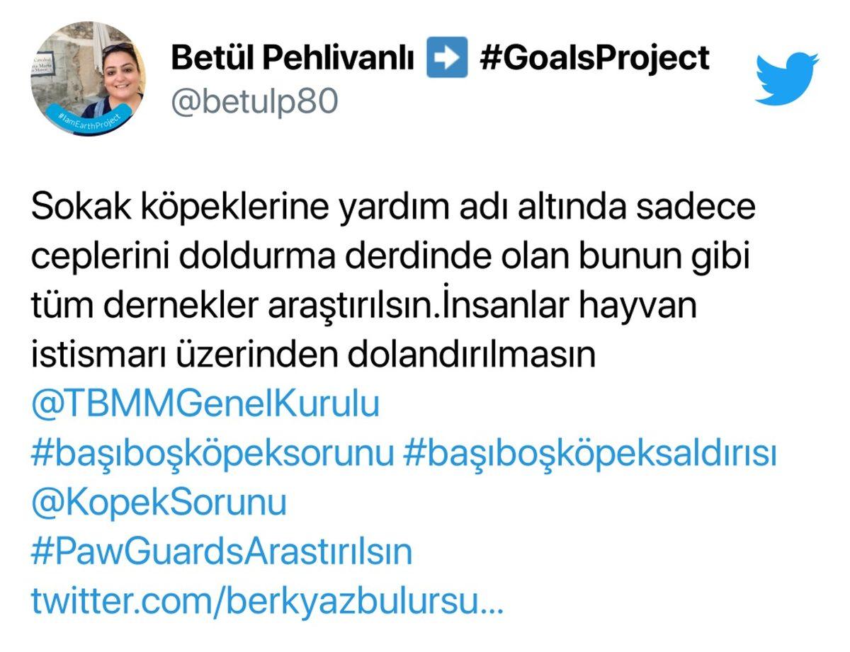 Jahrein’in Paw Guards Hakkındaki ’Dolandırıcılık’ İddiaları Gündemde: İşte Tüm Yaşananlar ve Gelen Tepkiler