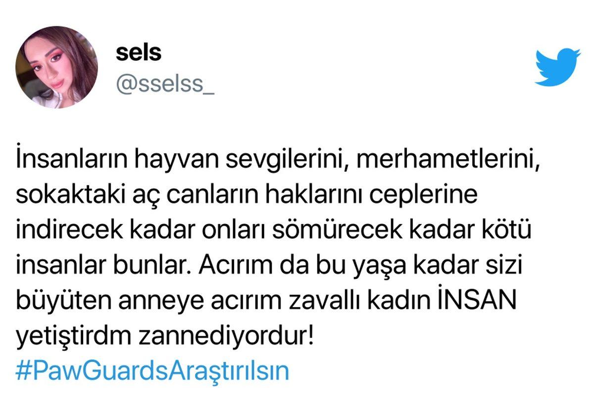 Jahrein’in Paw Guards Hakkındaki ’Dolandırıcılık’ İddiaları Gündemde: İşte Tüm Yaşananlar ve Gelen Tepkiler
