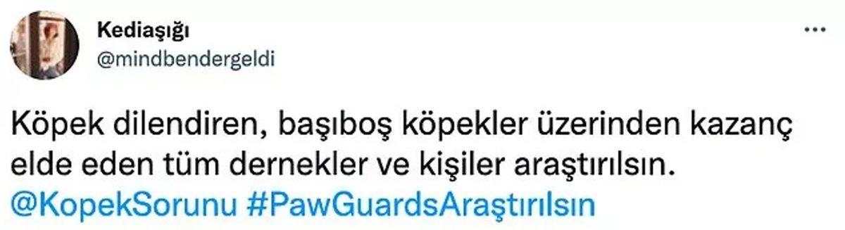 Jahrein’in Paw Guards Hakkındaki ’Dolandırıcılık’ İddiaları Gündemde: İşte Tüm Yaşananlar ve Gelen Tepkiler