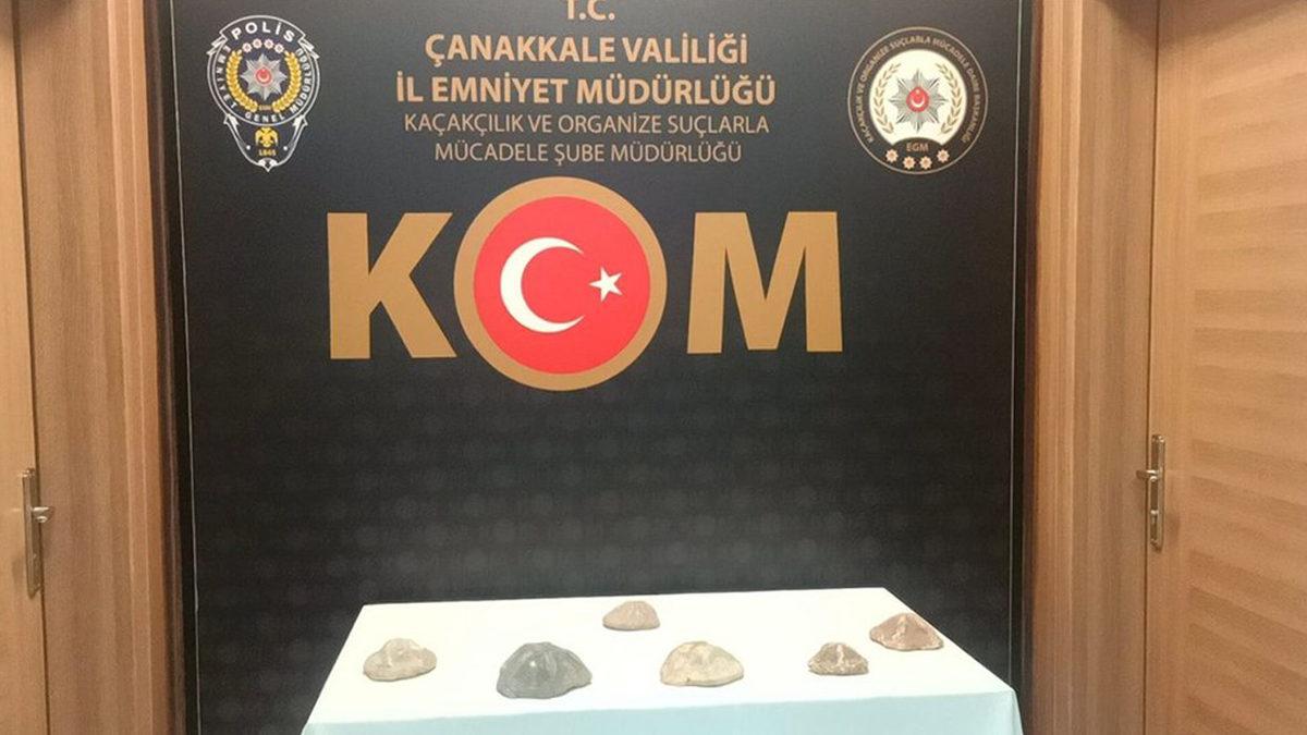 Çanakkale’de 2 Milyon Yıllık Deniz Yıldızı Fosilleri Ele Geçirildi
