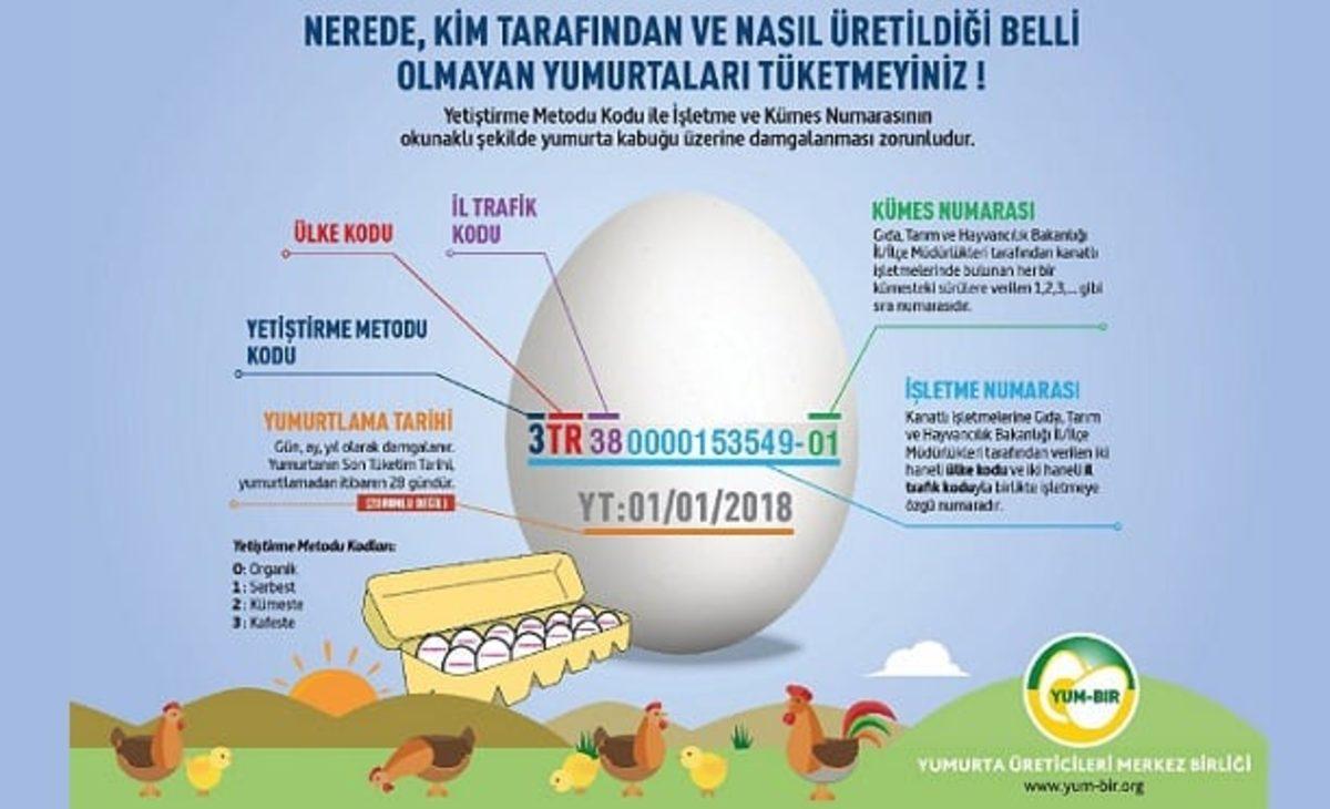 Yumurtaların Üzerindeki Bu Kodlar Ne Anlama Geliyor?