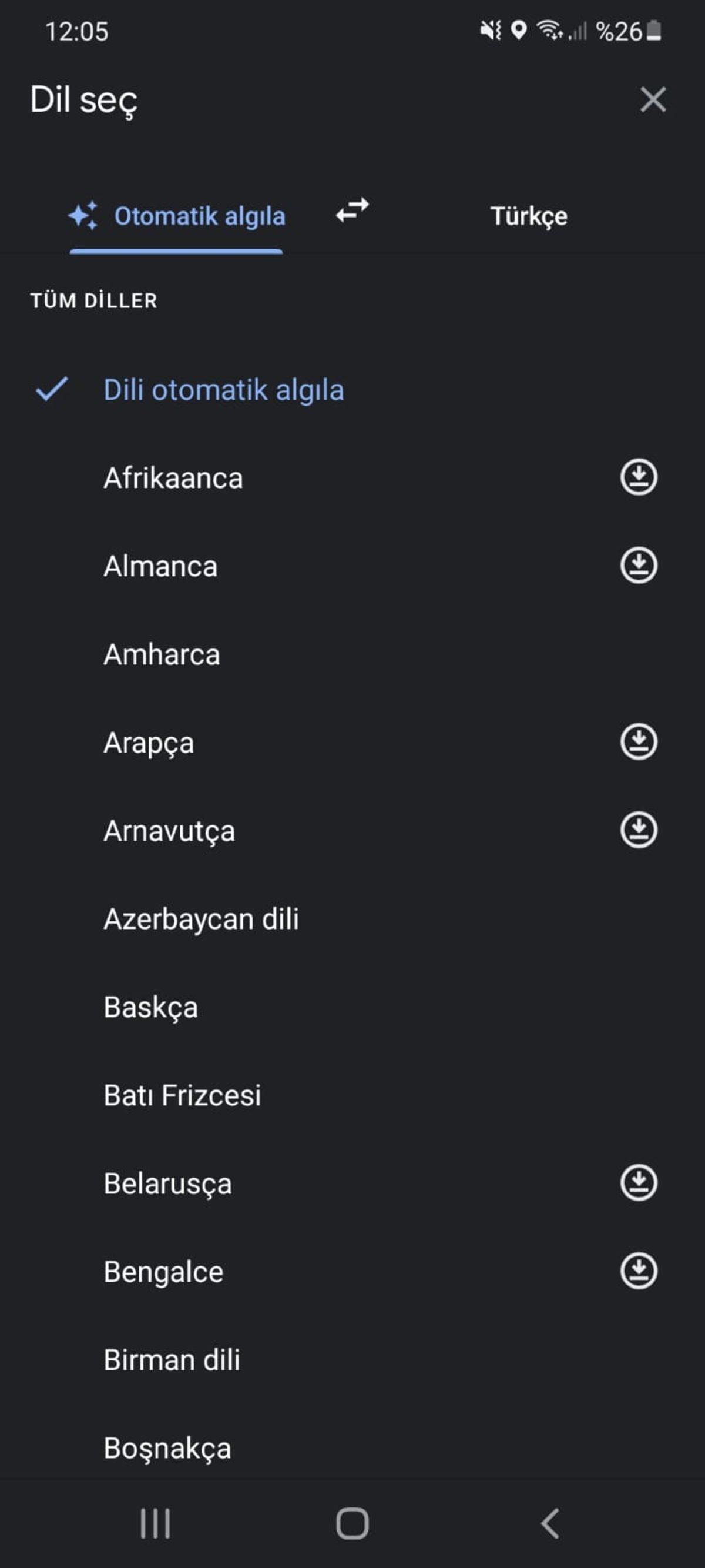 Google Lens, Çevrimdışı Metin Çeviri Özelliğine Nihayet Kavuştu