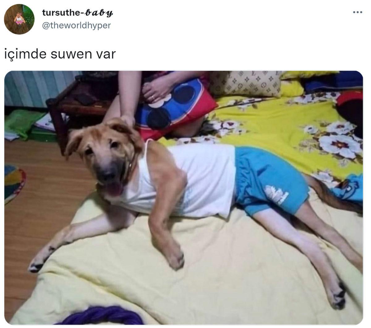 İç Çamaşırı Markasının Tartışma Yaratan ‘İç Çamaşırsız Reklamı’ Sosyal Medyada Akıma Dönüştü: “İçimde Suwen Var”