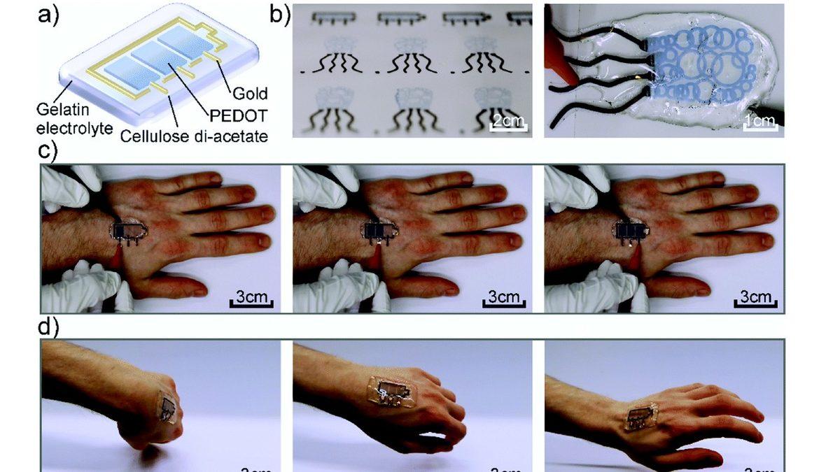 Bilim İnsanları, Biyolojik Olarak Çözünebilen Yeni Bir Ekran Geliştirdi
