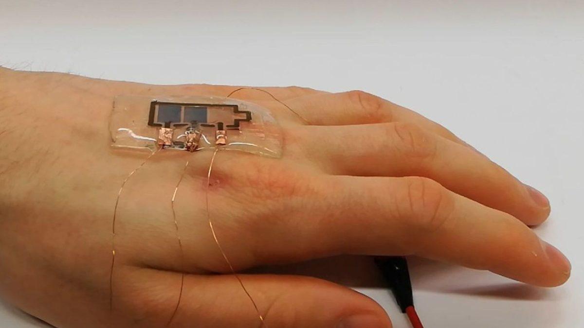 Bilim İnsanları, Biyolojik Olarak Çözünebilen Yeni Bir Ekran Geliştirdi