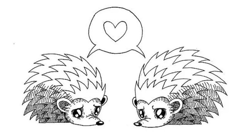 İlişkilerdeki "Ne Seninle Ne de Sensiz" Hissinin Sebebini Açıklayan Psikoloji: Kirpi İkilemi