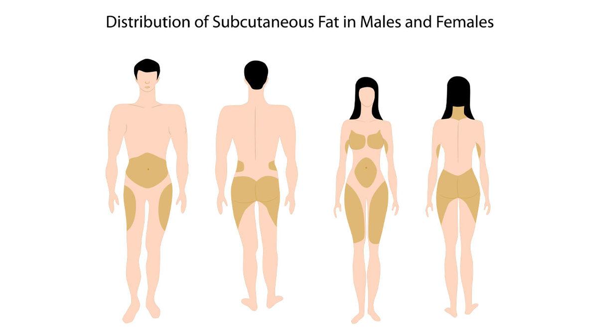 ’Erkekler Futbolu Daha İyi Oynar’ ve ’Voleybol Kadın Sporudur’ Gibi Söylemler Aslında Ne Kadar Doğru? İşte Bilime Göre Yanıtı