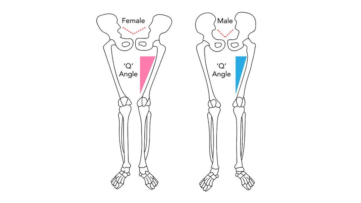 ’Erkekler Futbolu Daha İyi Oynar’ ve ’Voleybol Kadın Sporudur’ Gibi Söylemler Aslında Ne Kadar Doğru? İşte Bilime Göre Yanıtı