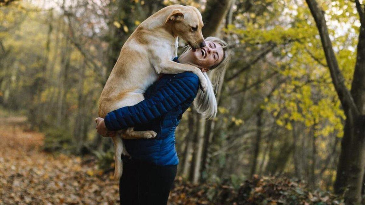 Psikolojiye Göre Evcil Hayvanlarımıza 