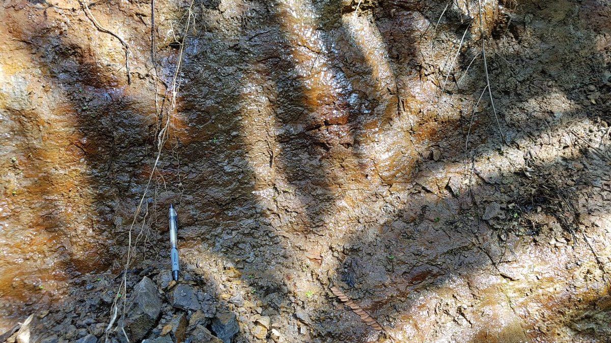 Taşların Dilini Çözen Bilim Dalı: Litoloji Nedir, Neyle İlgilenir?