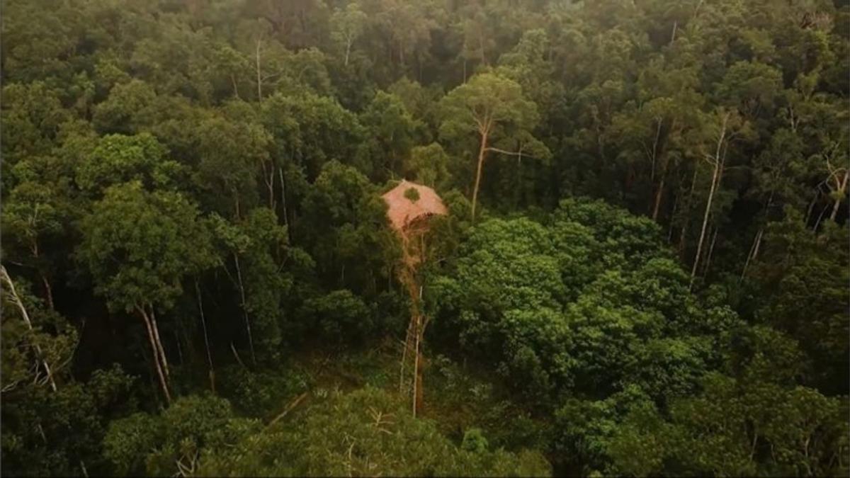 Yamyamlara Yem Olmamak İçin 40 Metrelik Ağaçlarda Yaşayan Tuhaf Kabilenin Hikayesi [Video]