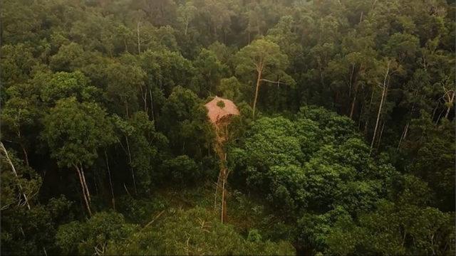 Yamyamlara Yem Olmamak İçin 40 Metrelik Ağaçlarda Yaşayan Tuhaf Kabilenin Hikayesi [Video]
